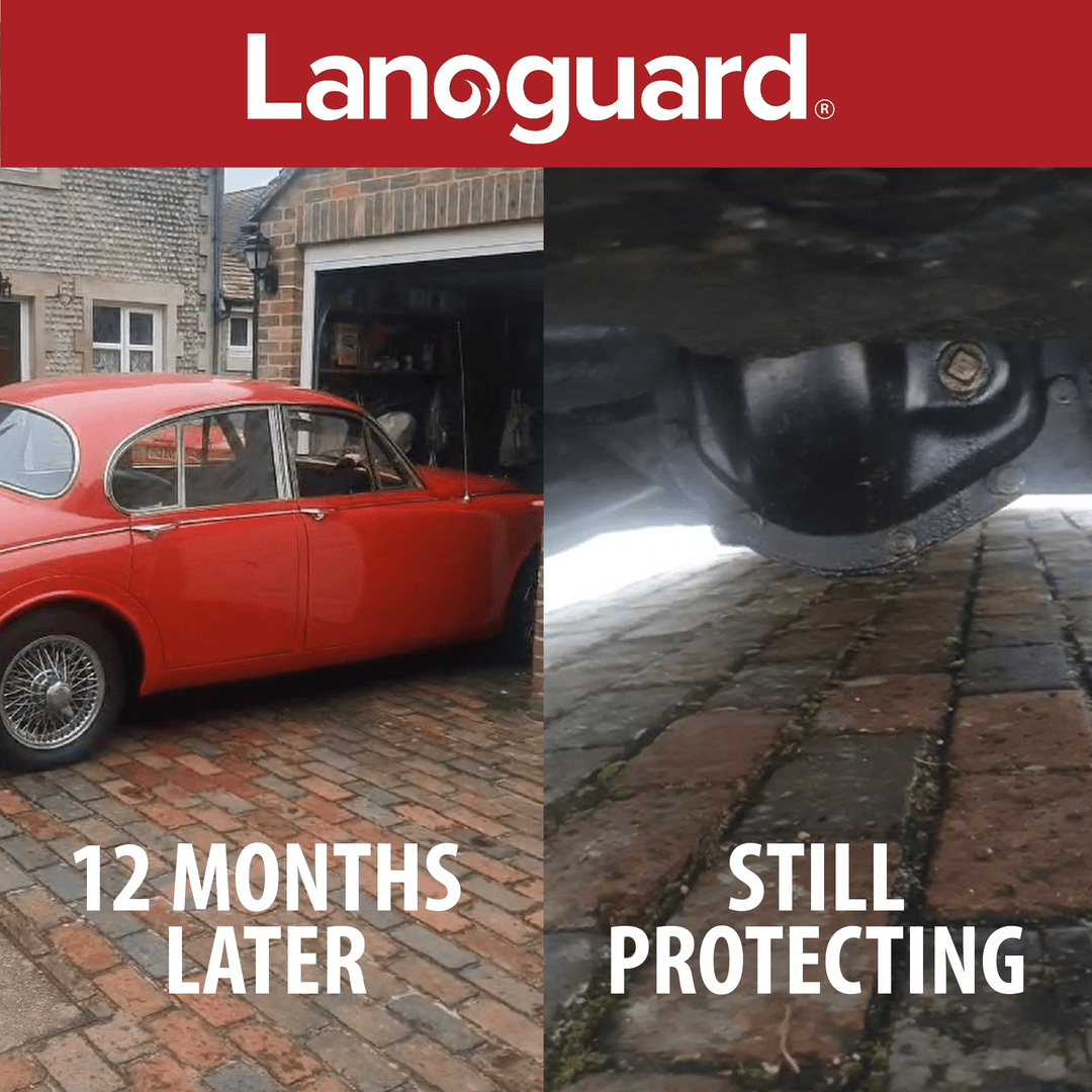 Lanoguard 12 Months On: Long-Term Review of a Classic Jaguar - Lanoguard