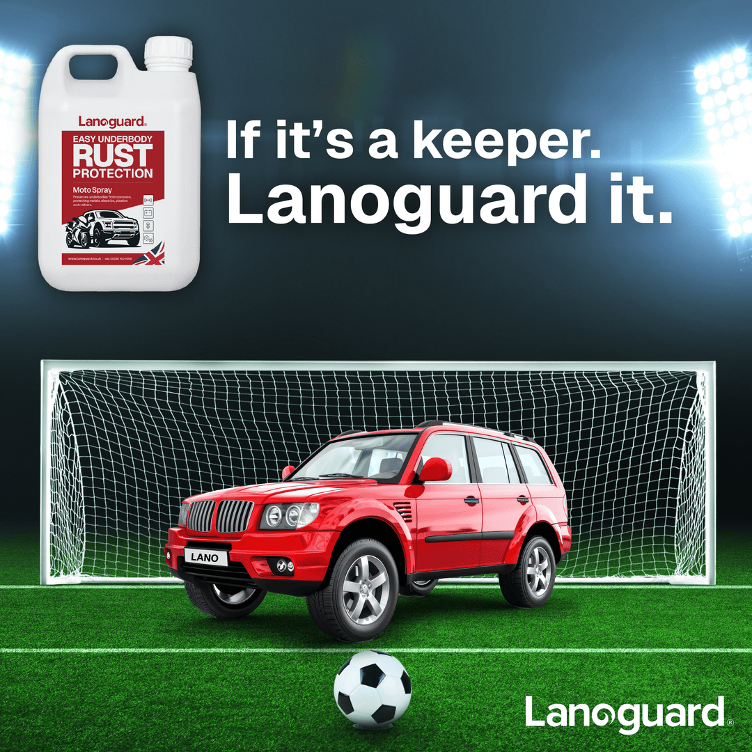Protect the Vehicle You Plan to Keep - Lanoguard