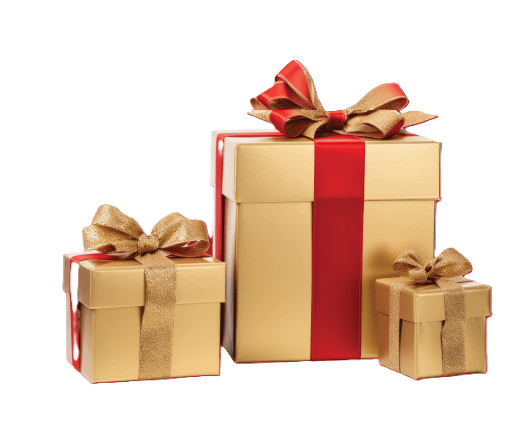 Gifts For Car Lovers - Lanoguard