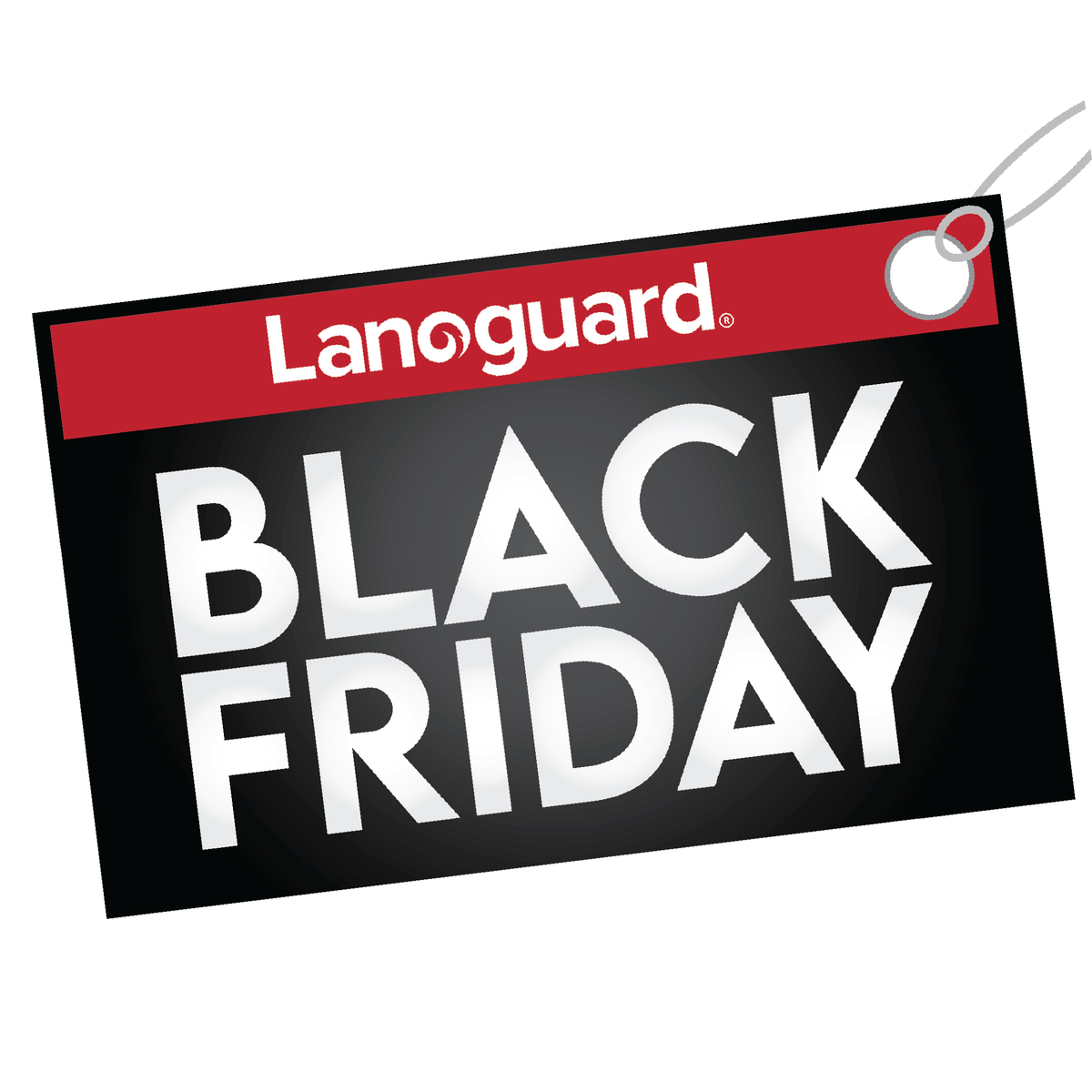 www.lanoguard.co.uk