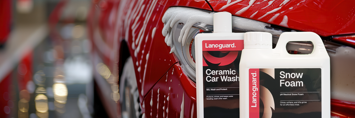 Lanoguard Upperbody Cleaning Products - All You Need To Know